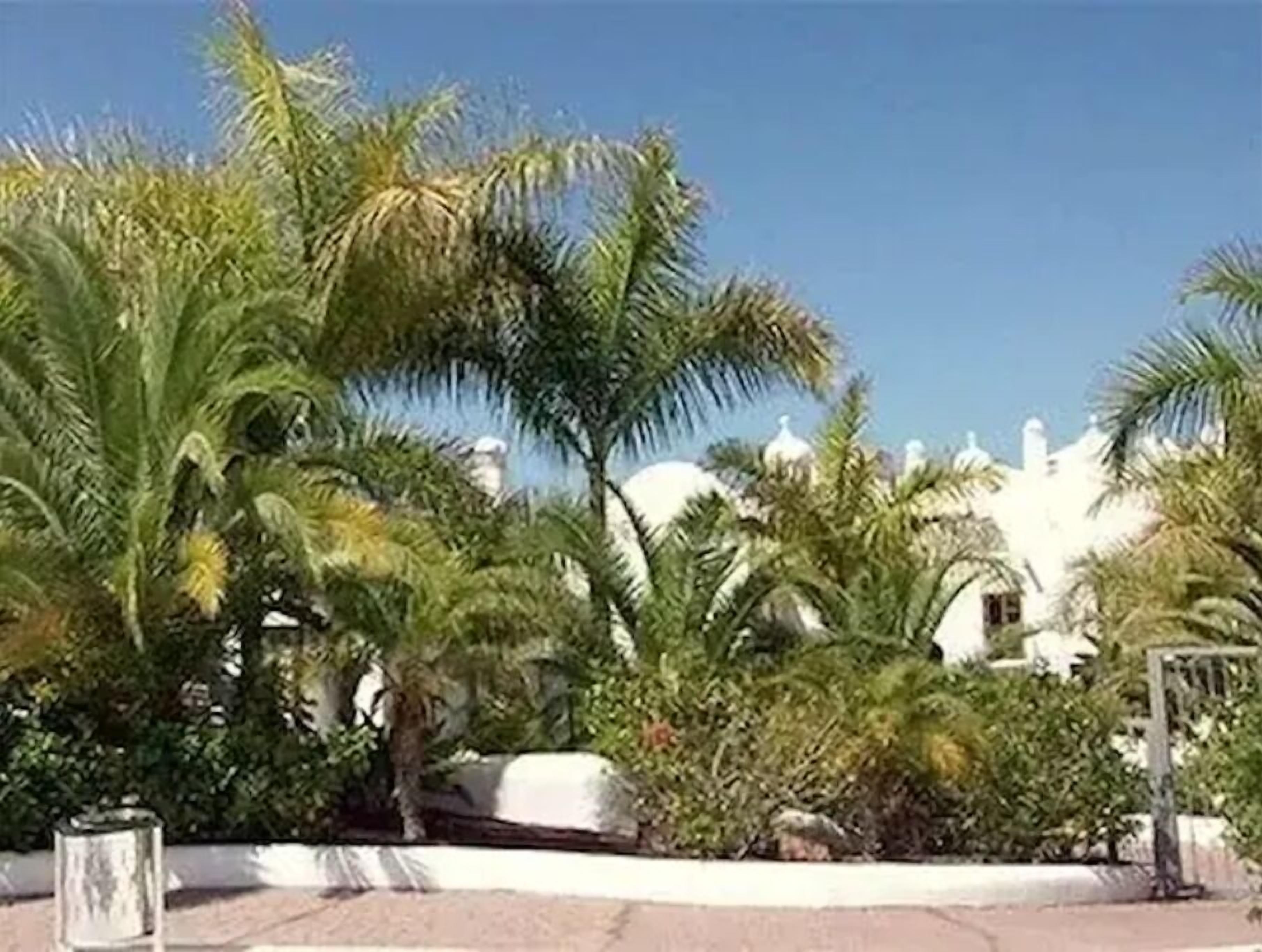 A white building with domed roofs, surrounded by palm trees and greenery.