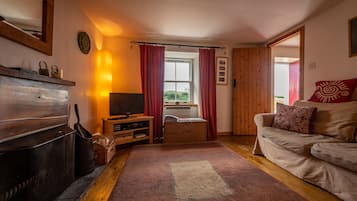 TV, fireplace, DVD player, books