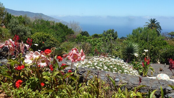 Um jardim com diversas plantas e flores, chão pedregoso e vista para o oceano.