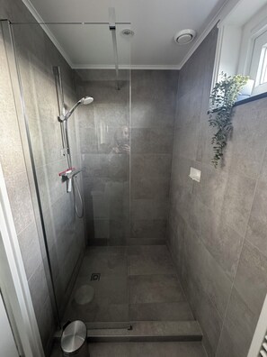 Shower, hair dryer