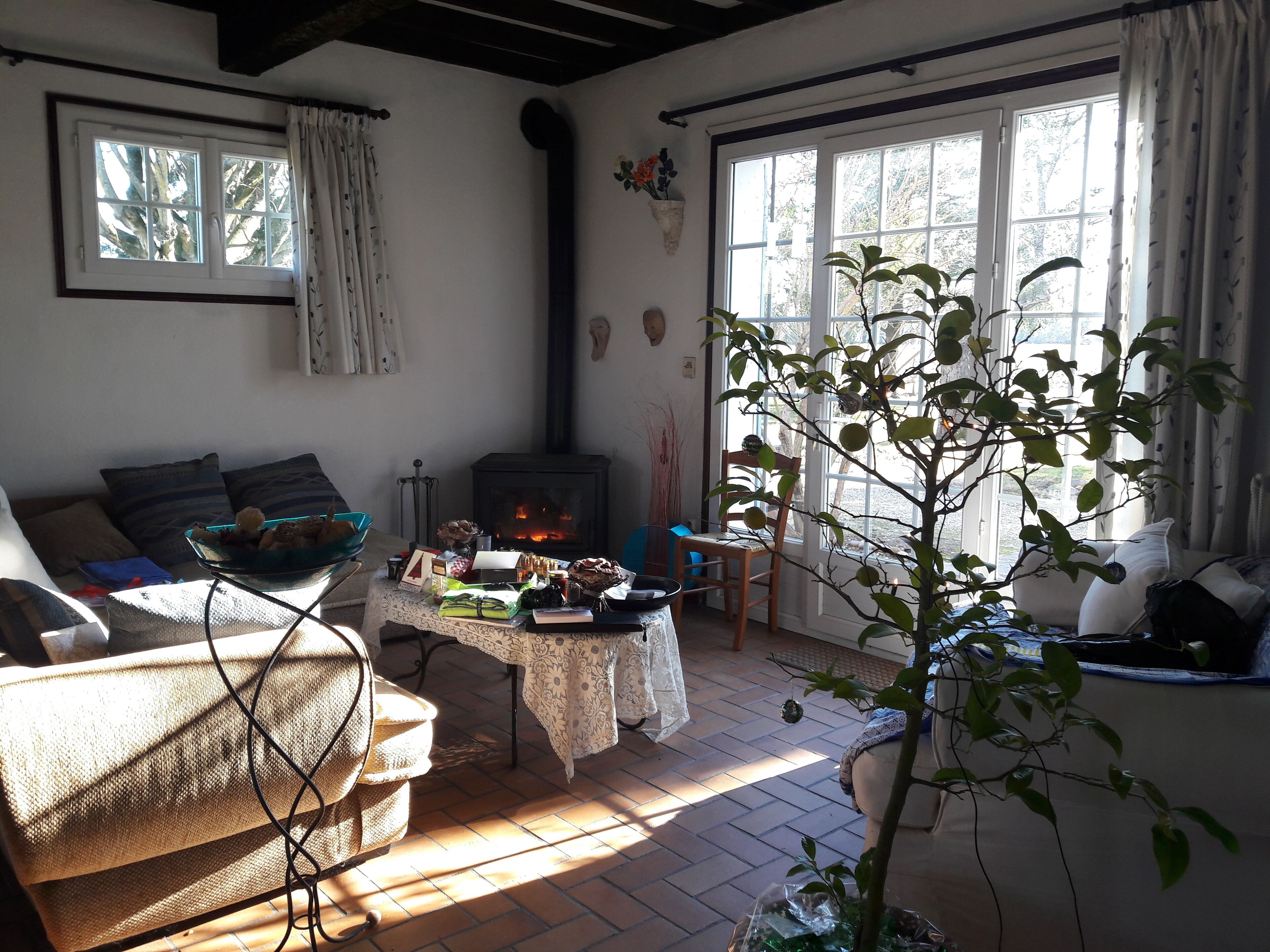 Télévision, cheminée, lecteur de DVD, baby-foot