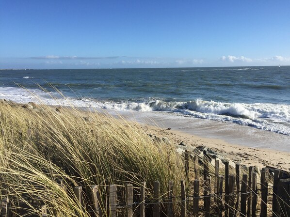 Plage à proximité