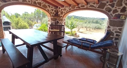 Talo oliivipuita, maalaismainen