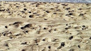 Nær stranden og solsenger