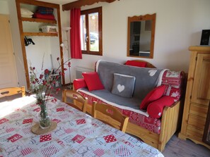 TV, DVD player, books, music library