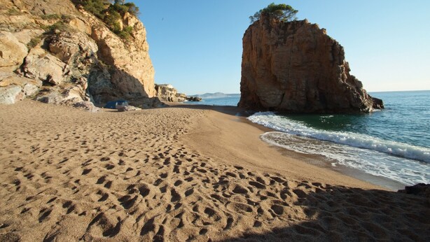 Une plage de sable bordée de falaises rocheuses, offrant une vue dégagée sur la mer.