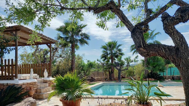 Ein Poolbereich mit einer Pergola, Topfpflanzen und einer Steinmauer.