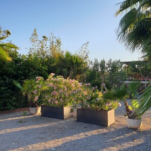 Property grounds - San Carlos: ES TERS DE DALT CASA IN SAN CARLOS (SAN CARLOS)