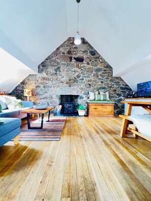 Smart TV, fireplace, DVD player, video library - Hen Stabl - A charming 18th century stone character stables conversion (Llanfair)