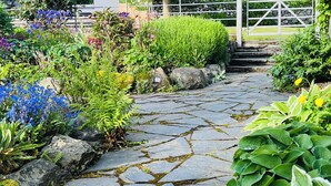 Un sendero de piedra que atraviesa un jardín con diversas plantas y una puerta de metal.
