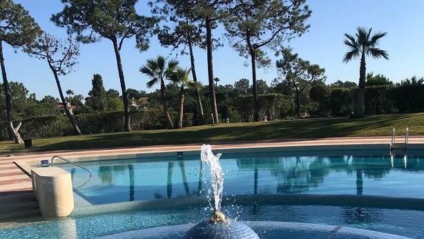 A swimming pool with a water fountain in the center, surrounded by palm trees and a clear blue sky.