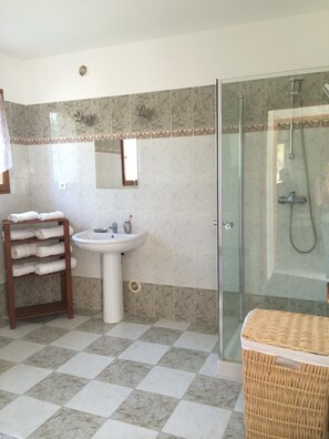 Shower, hair dryer, bidet, towels