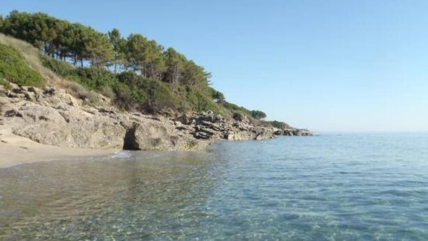 Une plage côtière dégagée, avec un terrain rocheux et une végétation clairsemée.