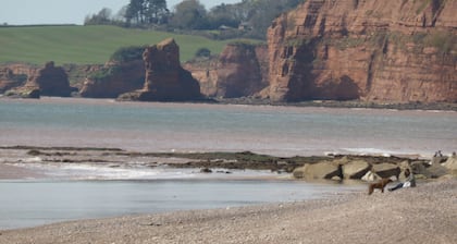 Sidmouth apartment perfect for beach and town