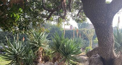 Secteur Lumio:Site exceptionnel; villa bord de mer