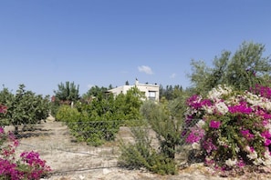 Εξωτερικός χώρος καταλύματος