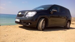 Property grounds - Large Secluded Stone Built Villa with Free 7 Seater Car (Tala)