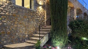 A stone staircase leading to a porch with a large tree and potted plants.