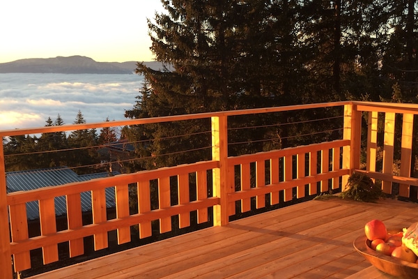 La terrasse, vue imprenable sur le Vercors, expo S/O