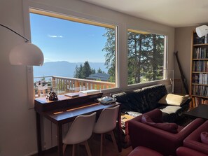 TV, DVD player, books