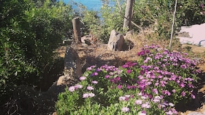 Un paysage côtier offrant une vue dégagée sur la mer, avec un arbre et un parterre de fleurs.