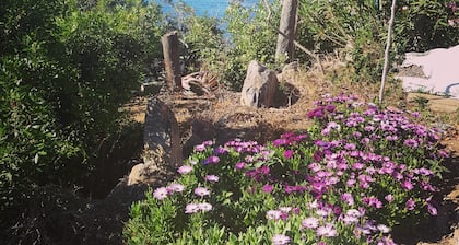 Semi-detached seafront terraced house with private garden IUN P5807 VILLINO 1.