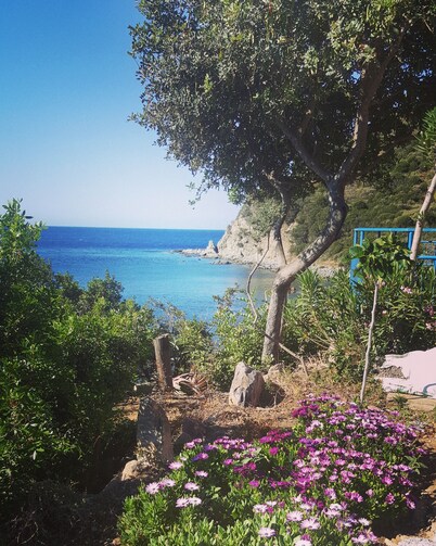 Casa adosada frente al mar (10 metros) con jardín privado IUN P5807