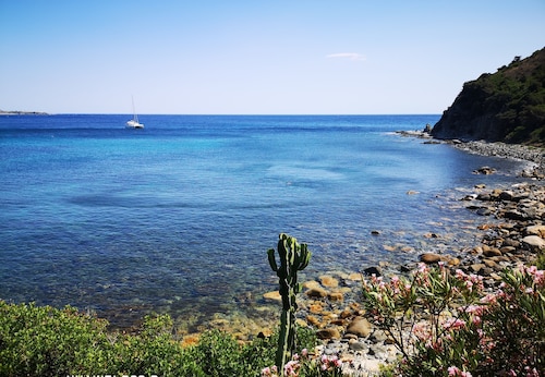 Doppelhaushälfte mit Meerblick (10 m) und eigenem Garten IUN P5807