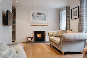 TV, fireplace, books