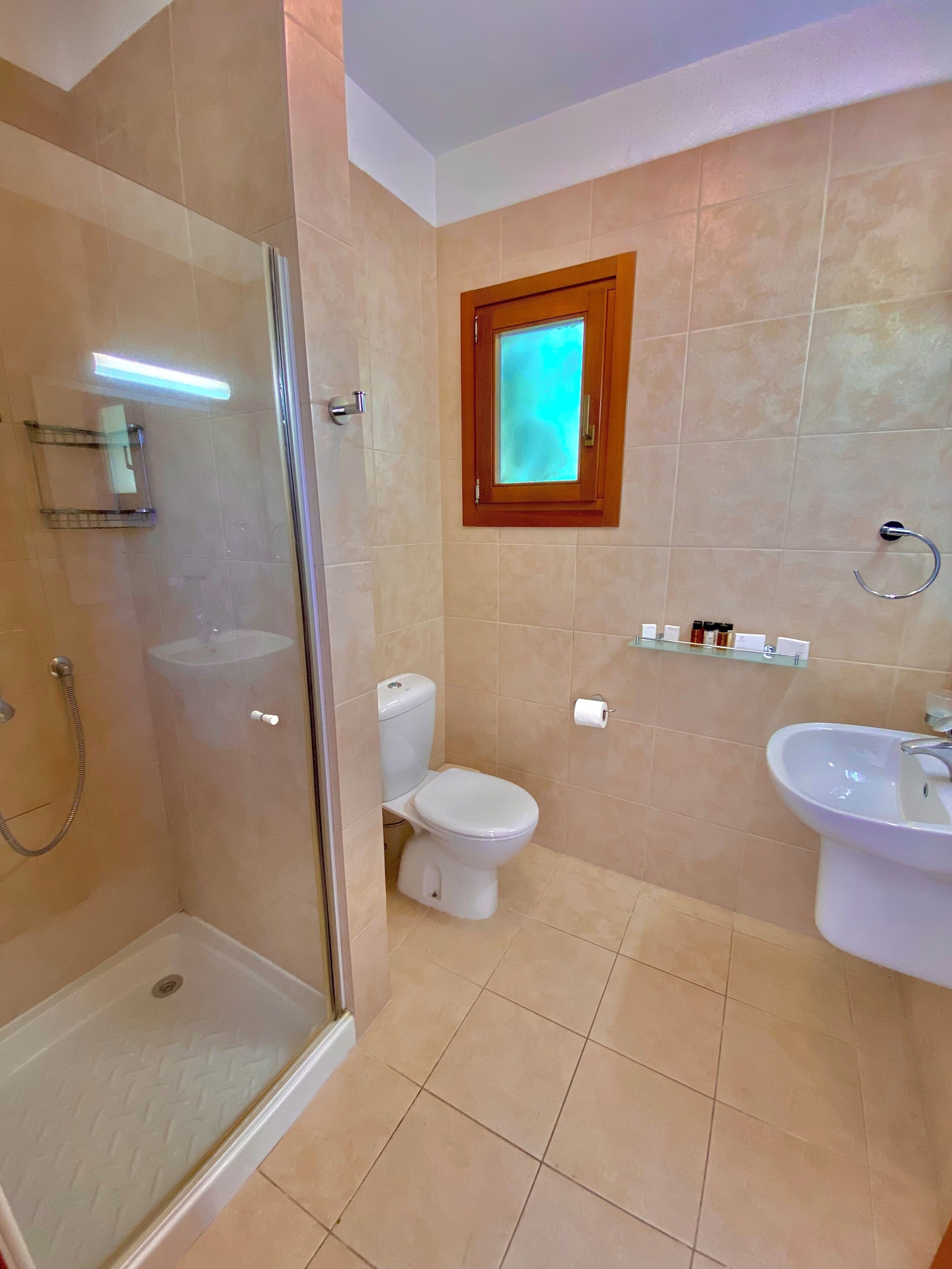 A bathroom with a glass-enclosed shower, a toilet, a sink, and a window with a wooden frame.