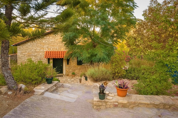 A peaceful retreat nestled in greenery