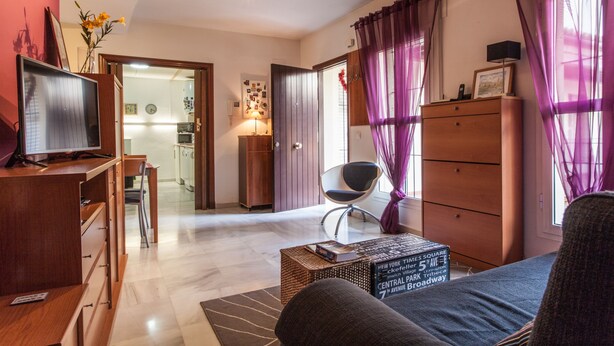 A living room with a TV, a sofa, a chair, a wooden dresser, and a bookshelf. - Sevilla best location apartment (Sevilla)