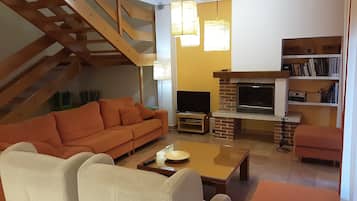 Smart TV, fireplace, DVD player, books