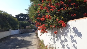 Property grounds - House / Villa - L''Épine Noirmoutier (L'épine)