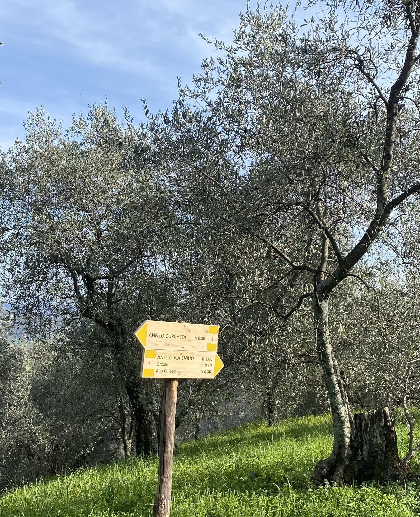 Un poste indicador en un entorno natural con árboles y césped.