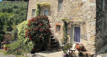 Apartment in carefully renovated farmhouse with exclusive garden