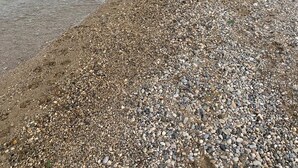 A pebbled beach with a person and a dog walking along the shore. - Direct Lake Access: Panoramic Pool, Jetty & Parking (manerba del garda)