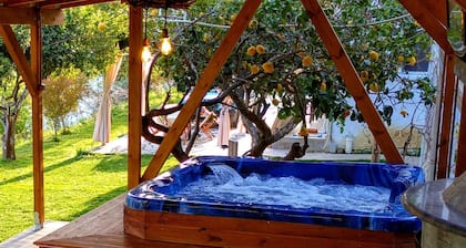 Der Elysianer in Nikopolis