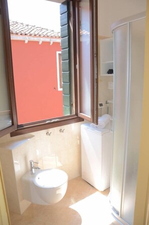 Shower, hair dryer, bidet, towels