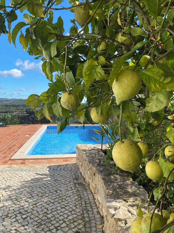 Pool - Stunning 3 Bed Villa with private pool and rural views (Sao Bras de Alportel)