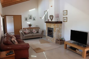 Smart TV, fireplace, DVD player, books