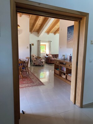 TV connectée, cheminée, lecteur de DVD, livres