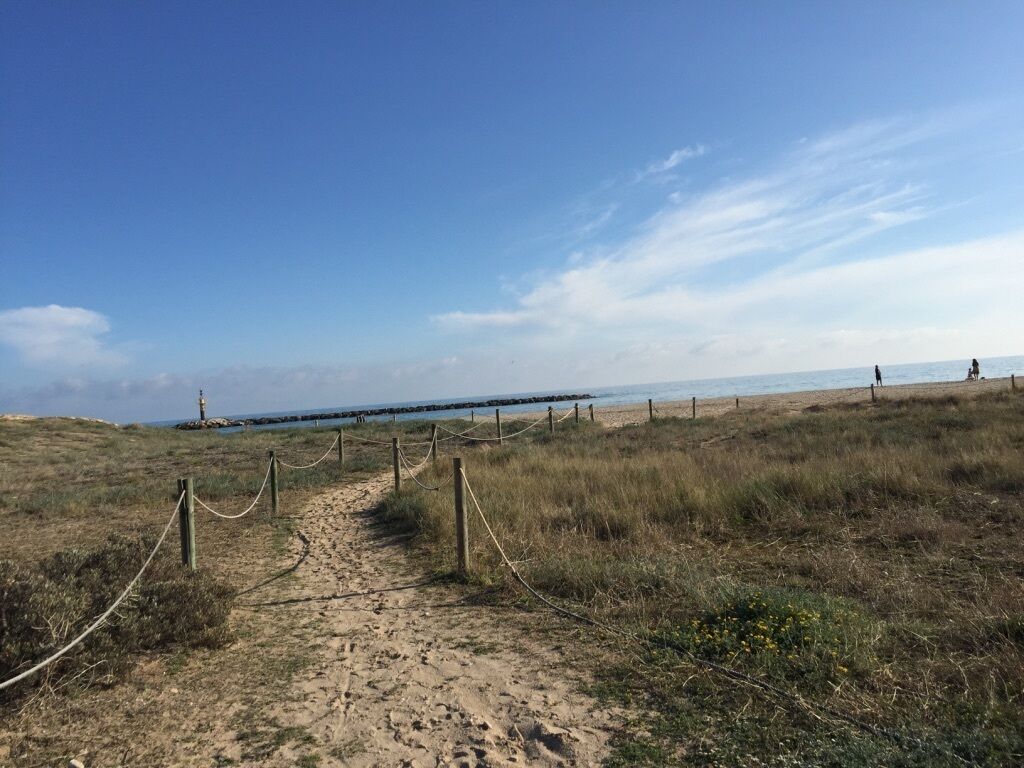 A sandy beach path with a fence leading to the sea, a lighthouse in the distance, and a clear sky.
