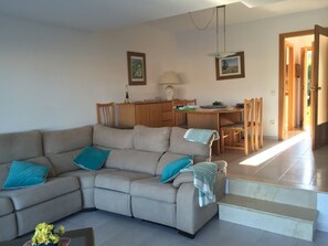 Smart TV, fireplace, DVD player, books