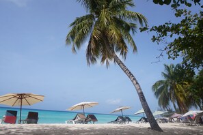 A beach with palm trees, lounge chairs, and umbrellas.