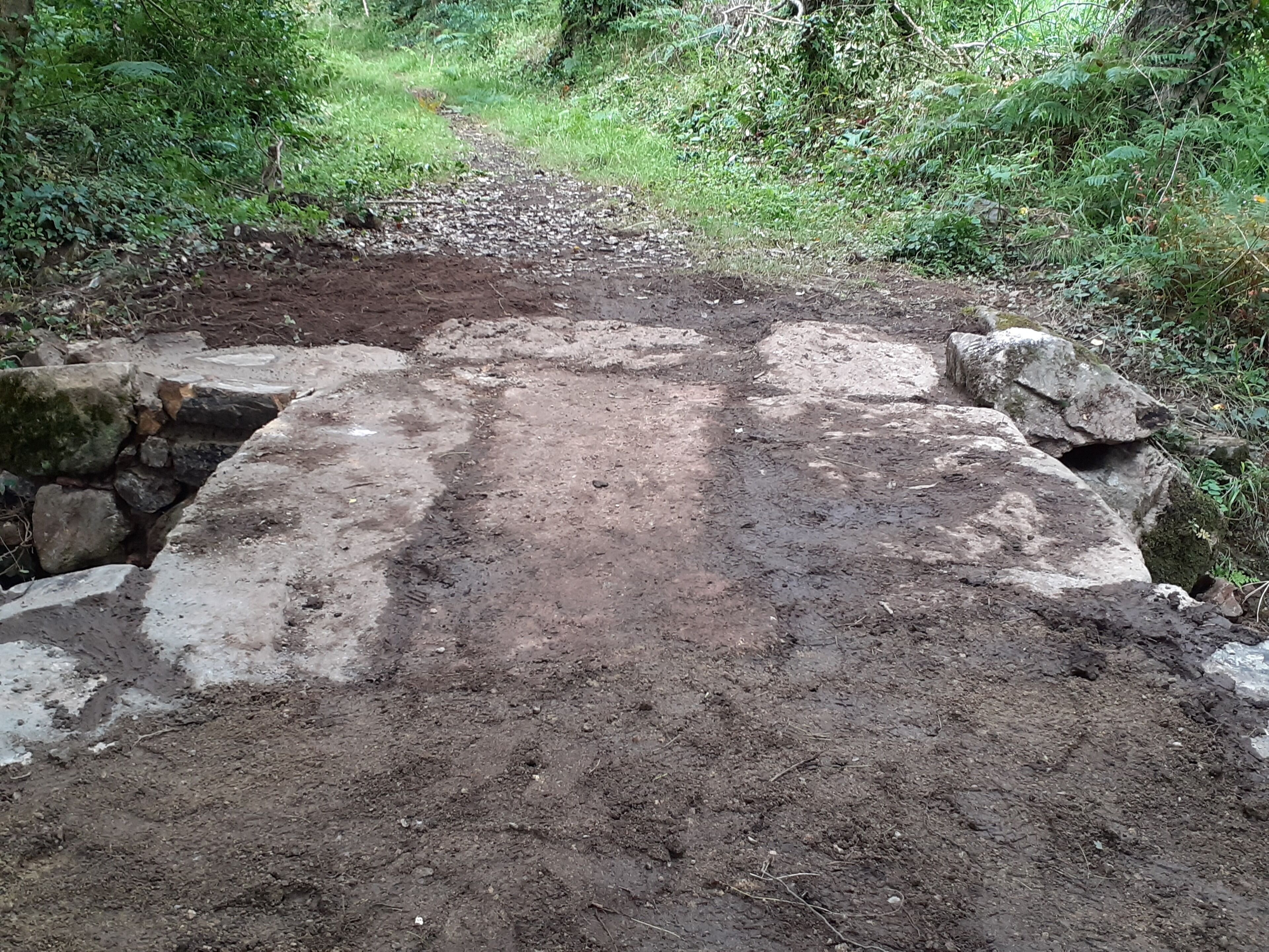 A dirt path with stone steps leading into a forest.