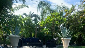 Una piscina con agua cristalina azul, rodeada de abundante vegetación y una silla de descanso negra.