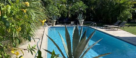 A rectangular swimming pool with clear blue water, surrounded by lush greenery and palm trees.
