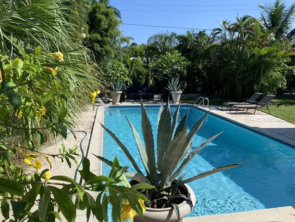 Una piscina al aire libre, una piscina climatizada