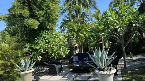 Un área de piscina con una silla de descanso y una pequeña mesa, rodeada de plantas y árboles.
